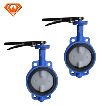 fuel butterfly valve